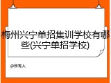 梅州兴宁单招集训学校有哪些(兴宁单招学校)