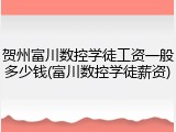 贺州富川数控学徒工资一般多少钱(富川数控学徒薪资)