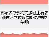 鄂尔多斯鄂托克旗哪里有农业技术学校啊(鄂旗农技校在哪)