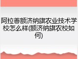 阿拉善额济纳旗农业技术学校怎么样(额济纳旗农校如何)