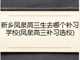 新乡凤泉高三生去哪个补习学校(凤泉高三补习选校)