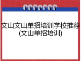 文山文山单招培训学校推荐(文山单招培训)