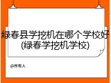 绿春县学挖机在哪个学校好(绿春学挖机学校)
