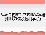 柳城县挖掘机学校哪家靠谱(柳城靠谱挖掘机学校)