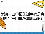 芜湖三山单招集训中心是真的吗(三山单招集训真假)