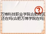 万博科技职业学院合肥校区还在吗(合肥万博学院在吗)
