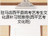 驻马店西平县高考艺考生文化课补习班推荐(西平艺考文化班)