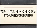 茂名世贸科技学校技校怎么样(茂名世贸技校如何)