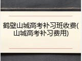 鹤壁山城高考补习班收费(山城高考补习费用)