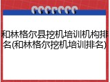 和林格尔县挖机培训机构排名(和林格尔挖机培训排名)