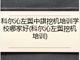 科尔沁左翼中旗挖机培训学校哪家好(科尔沁左翼挖机培训)