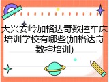 大兴安岭加格达奇数控车床培训学校有哪些(加格达奇数控培训)