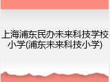 上海浦东民办未来科技学校小学(浦东未来科技小学)