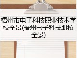 梧州市电子科技职业技术学校全景(梧州电子科技职校全景)