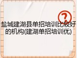 盐城建湖县单招培训比较好的机构(建湖单招培训优)