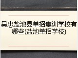 吴忠盐池县单招集训学校有哪些(盐池单招学校)