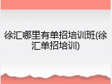 徐汇哪里有单招培训班(徐汇单招培训)