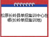 松原长岭县单招集训中心在哪(长岭单招集训地)