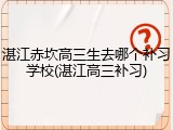 湛江赤坎高三生去哪个补习学校(湛江高三补习)