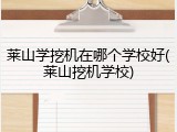 莱山学挖机在哪个学校好(莱山挖机学校)