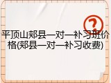 平顶山郏县一对一补习班价格(郏县一对一补习收费)