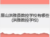眉山洪雅县数控学校有哪些(洪雅数控学校)