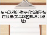 东乌珠穆沁旗挖机培训学校在哪里(东乌旗挖机培训地址)