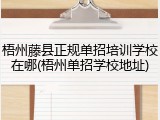 梧州藤县正规单招培训学校在哪(梧州单招学校地址)