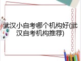 武汉小自考哪个机构好(武汉自考机构推荐)