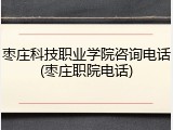 枣庄科技职业学院咨询电话(枣庄职院电话)