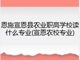 恩施宣恩县农业职高学校读什么专业(宣恩农校专业)