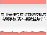 眉山青神县有没有数控机床培训学校(青神县数控培训)