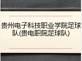 贵州电子科技职业学院足球队(贵电职院足球队)
