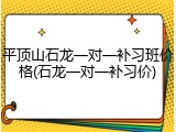 平顶山石龙一对一补习班价格(石龙一对一补习价)