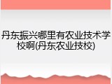 丹东振兴哪里有农业技术学校啊(丹东农业技校)