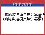 汕尾城数控模具培训靠谱吗(汕尾数控模具培训靠谱)