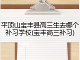 平顶山宝丰县高三生去哪个补习学校(宝丰高三补习)