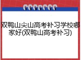 双鸭山尖山高考补习学校哪家好(双鸭山高考补习)
