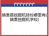 镇赉县挖掘机技校哪里有(镇赉挖掘机学校)
