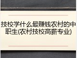 技校学什么最赚钱农村的中职生(农村技校高薪专业)