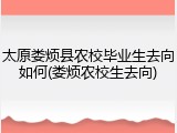 太原娄烦县农校毕业生去向如何(娄烦农校生去向)