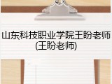山东科技职业学院王盼老师(王盼老师)