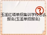 玉溪红塔单招集训学校怎么报名(玉溪单招报名)