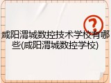 咸阳渭城数控技术学校有哪些(咸阳渭城数控学校)