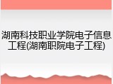 湖南科技职业学院电子信息工程(湖南职院电子工程)