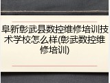 阜新彰武县数控维修培训技术学校怎么样(彰武数控维修培训)