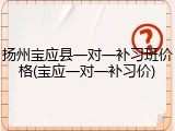 扬州宝应县一对一补习班价格(宝应一对一补习价)