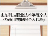 山东科技职业技术学院个人代码(山东职院个人代码)