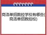 商洛单招数控学校有哪些(商洛单招数控校)