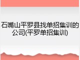 石嘴山平罗县找单招集训的公司(平罗单招集训)